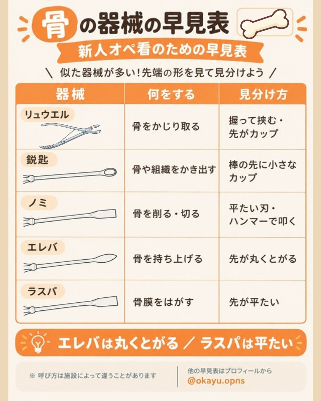 骨の器械の早見表｜リュウエル・鋭匙・ノミ・エレバ・ラスパの使い方と見分け方