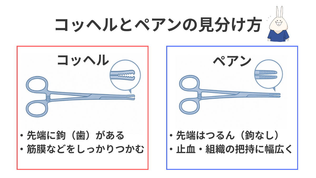 コッヘルとペアンの見分け方の図解。コッヘルは先端に鉤(歯)があり、ペアンは先端がなめらか